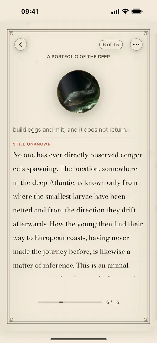 A species page showing the heading Still Unknown above its paragraph